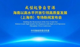 海南的新闻爆料,揭秘神秘事件背后的真相
